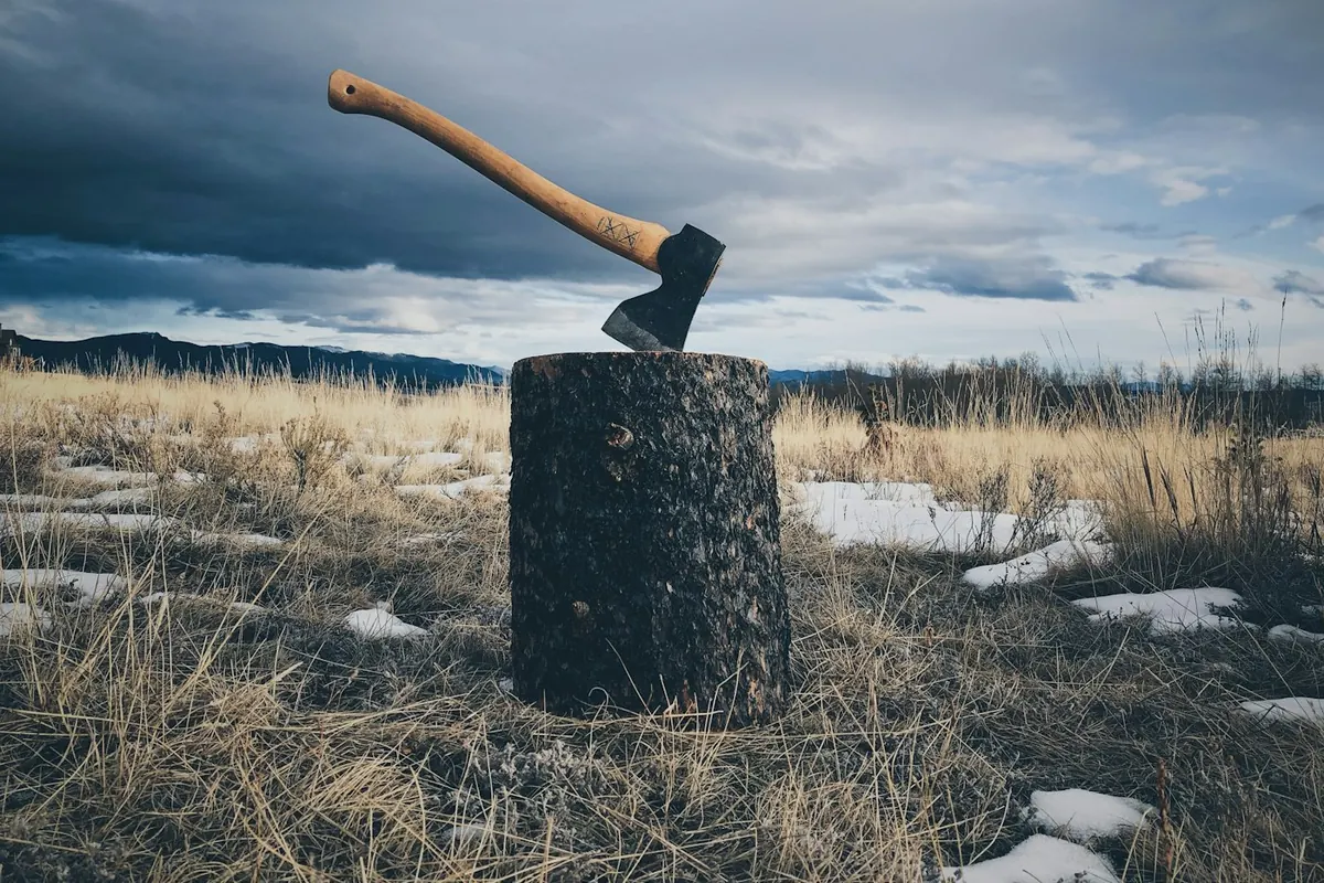 Axes & hatchets