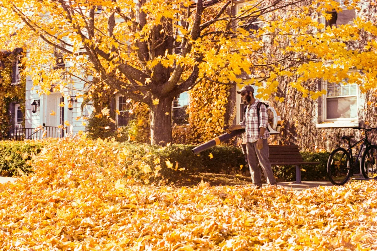 Leaf blowers
